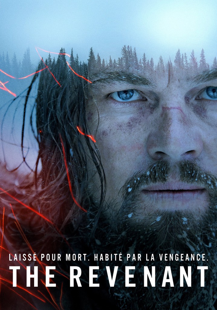 Regarder the revenant en streaming complet et l gal
